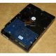 Электроника HDD 500Gb Hitachi HDS721050DLE630 (Кисловодск)