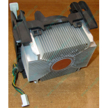 Кулер socket 478 (медный сердечник в Кисловодске, алюминиевое основание) - Кисловодск