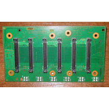 Плата корзины на 6 HDD SCSI FRU 59P5159 для IBM xSeries (Кисловодск)