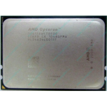 AMD Opteron 6128 OS6128WKT8EGO (Кисловодск)