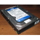 Жесткий диск 500Gb WD WD5000AAKX HP 634605-003 613208-001 7.2k SATA (Кисловодск)