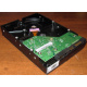 Жесткий диск 500Gb HP 634605-003 613208-001 WD WD5000AAKX 7.2k SATA (Кисловодск)